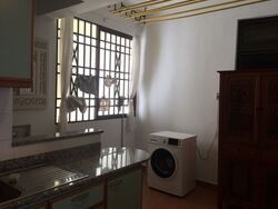 Seletaris (D27), Condominium #566579971